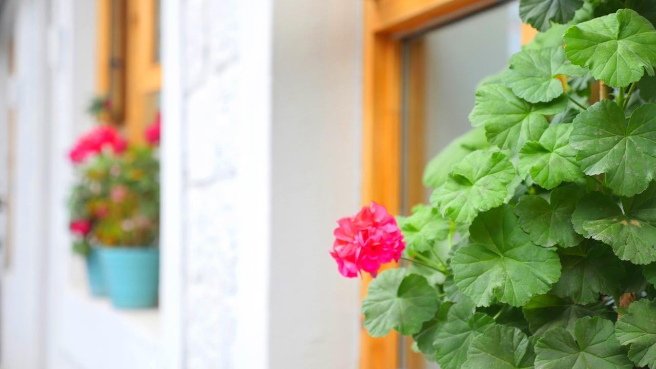 Fengma Feiyang Hostel Lhasa Eksteriør bilde